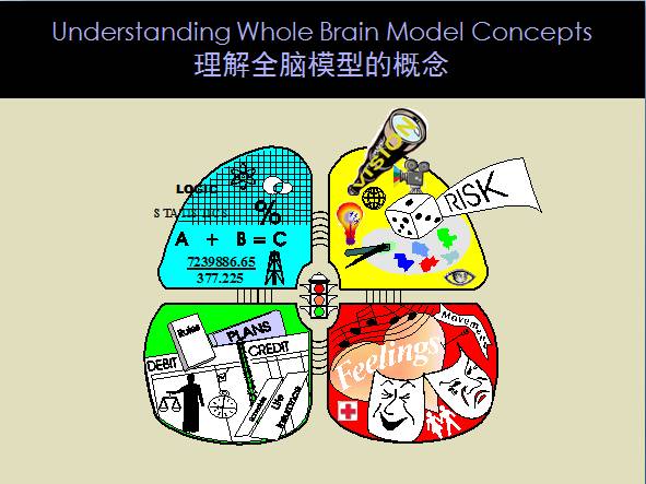 brain dominance instrument—全脑优势思维模型,由美国的奈德