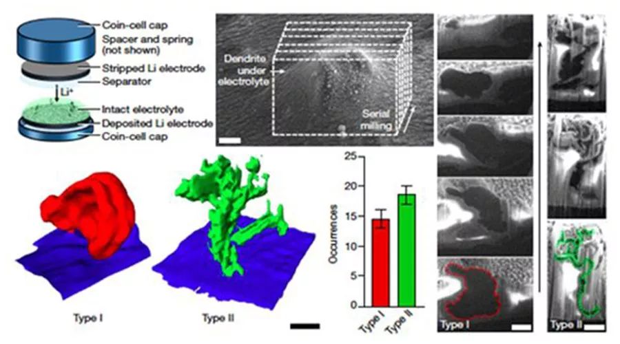 67锂电池界面枝晶行为探究