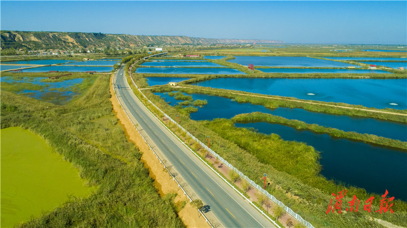 大荔黄河湿地公园图片