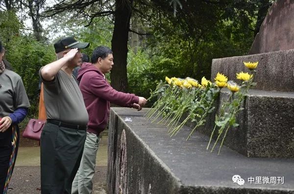 青树坪战役阵亡师长图片