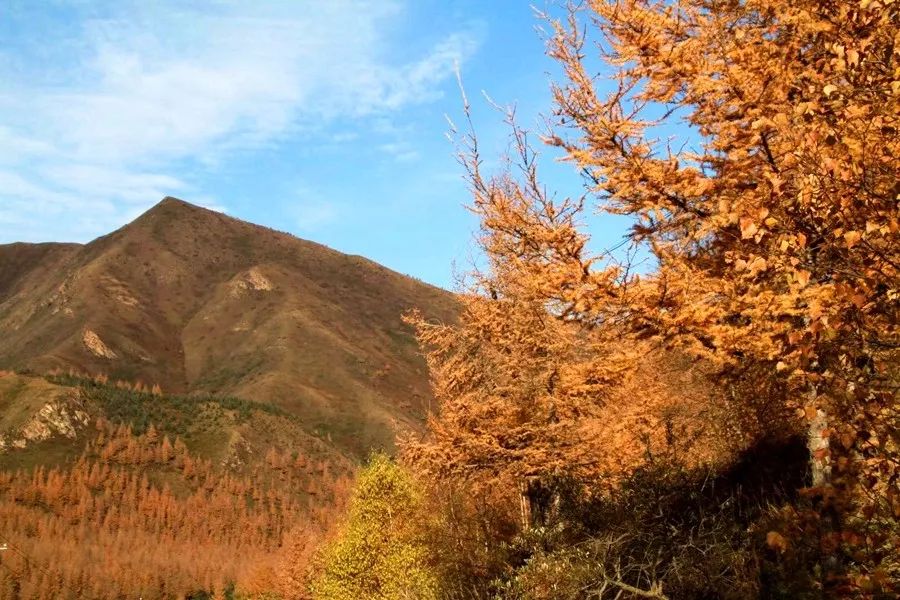 圖說丨金秋南華山_海原縣