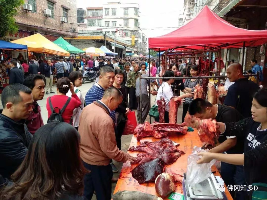 佛冈四九牛肉节今日开幕!万人开抢牛肉,车龙望不到头…_霜降