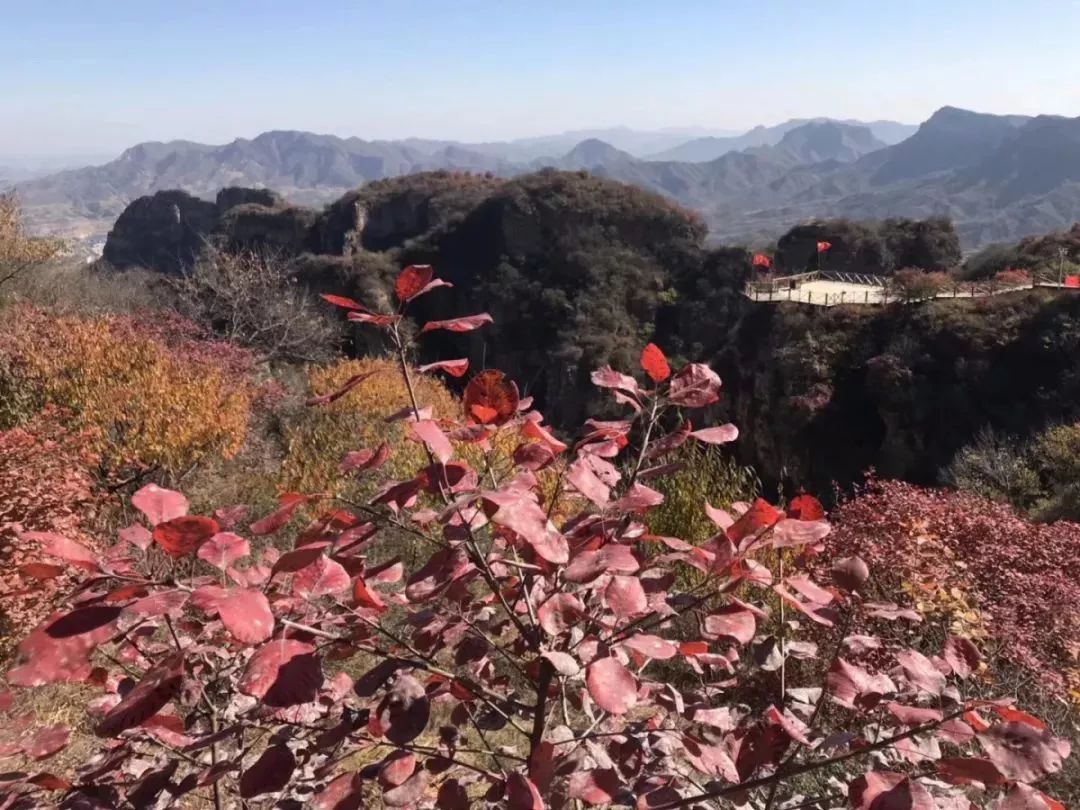 平山秋遊打卡紅崖谷的滿山秋葉正當時