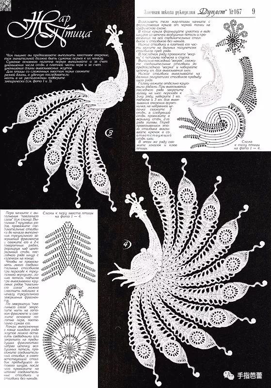 孔雀花编织法图片