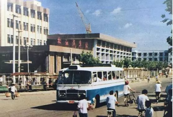 圖丨佘山千頭養豬場.圖丨佘山茶場採摘.圖丨松江鎮東部.圖丨