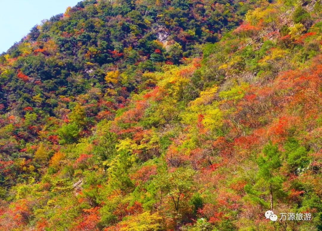 黑寶山森林公園