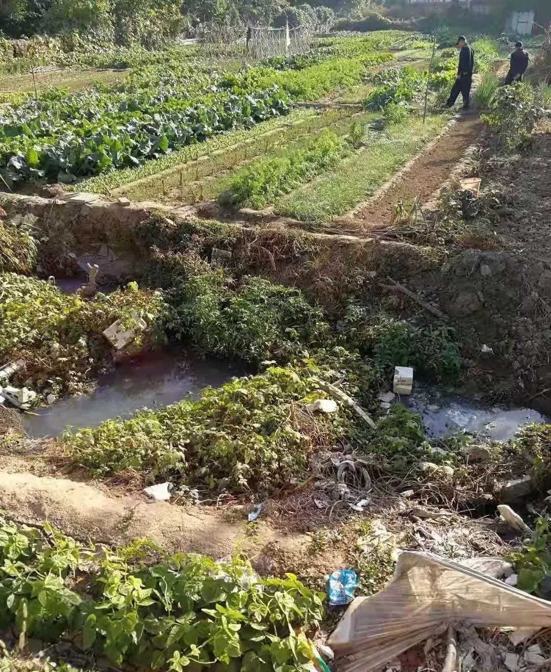 臭水沟边住了十来年,太闹心!打了六七个电话后,更闹心了!