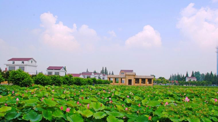 來到這裡,你可以去一趟沙湖國家溼地公園,尤其是遇到好的天氣,藍天