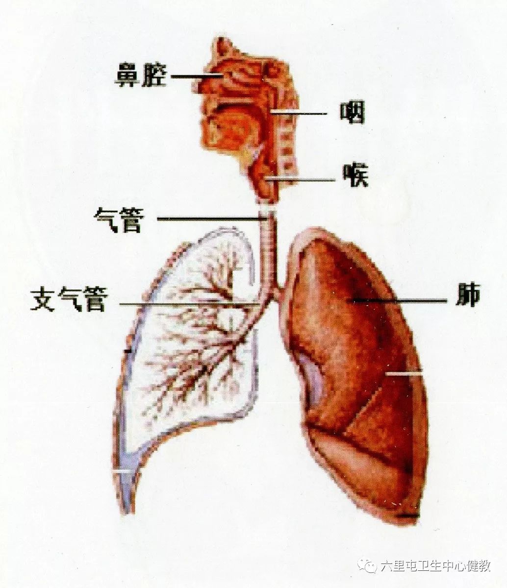 慢阻肺是什麼病