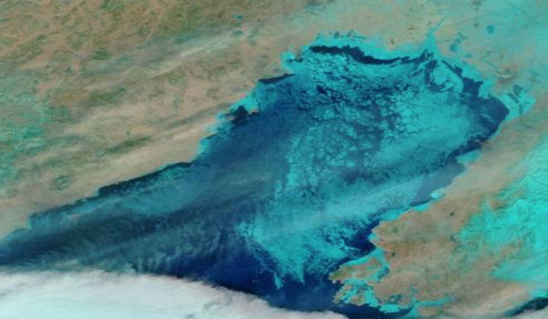 图5:海冰卫星遥感图(三)海洋预报模型不够完善海洋预报方法主要分为