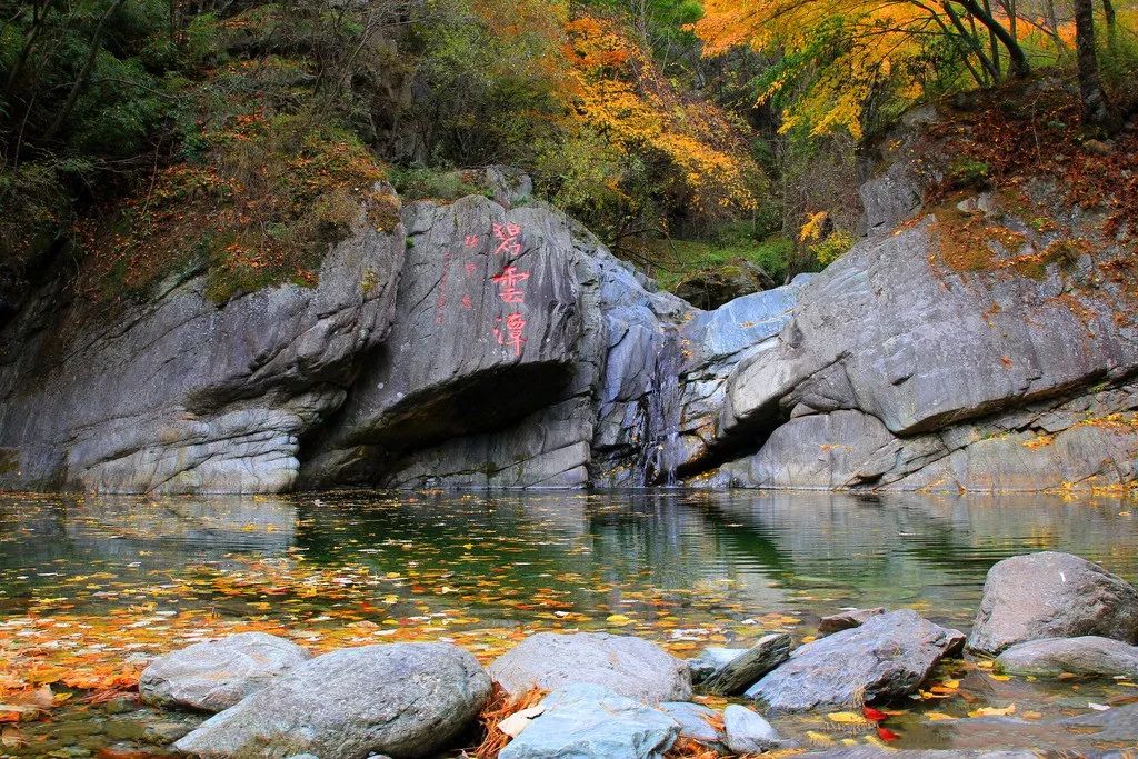 摩天嶺海拔兩千多米,站在摩天嶺山頂可飽覽甘肅白水江自然保護區和