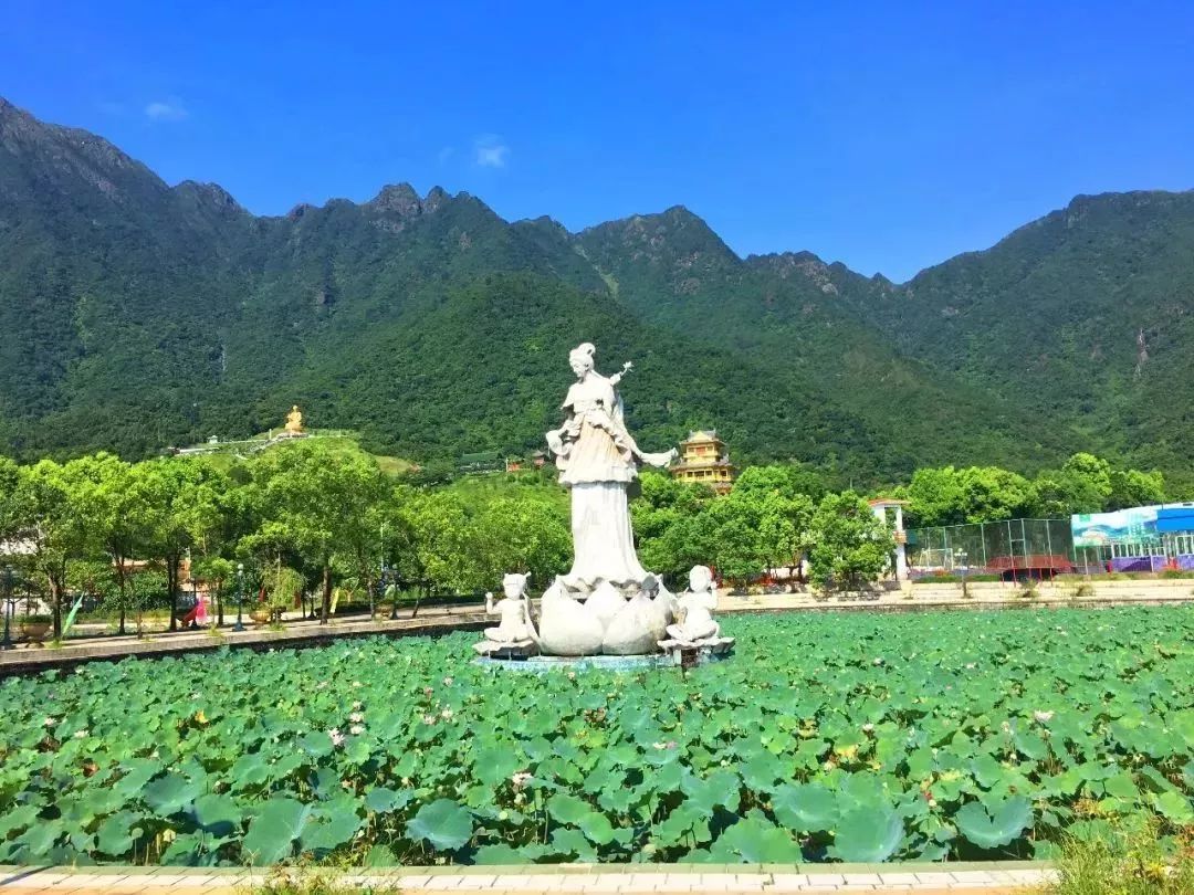 国旅君要给大家推荐 莲花山温泉度假村 位于海丰莲花山森林公园龙喷须