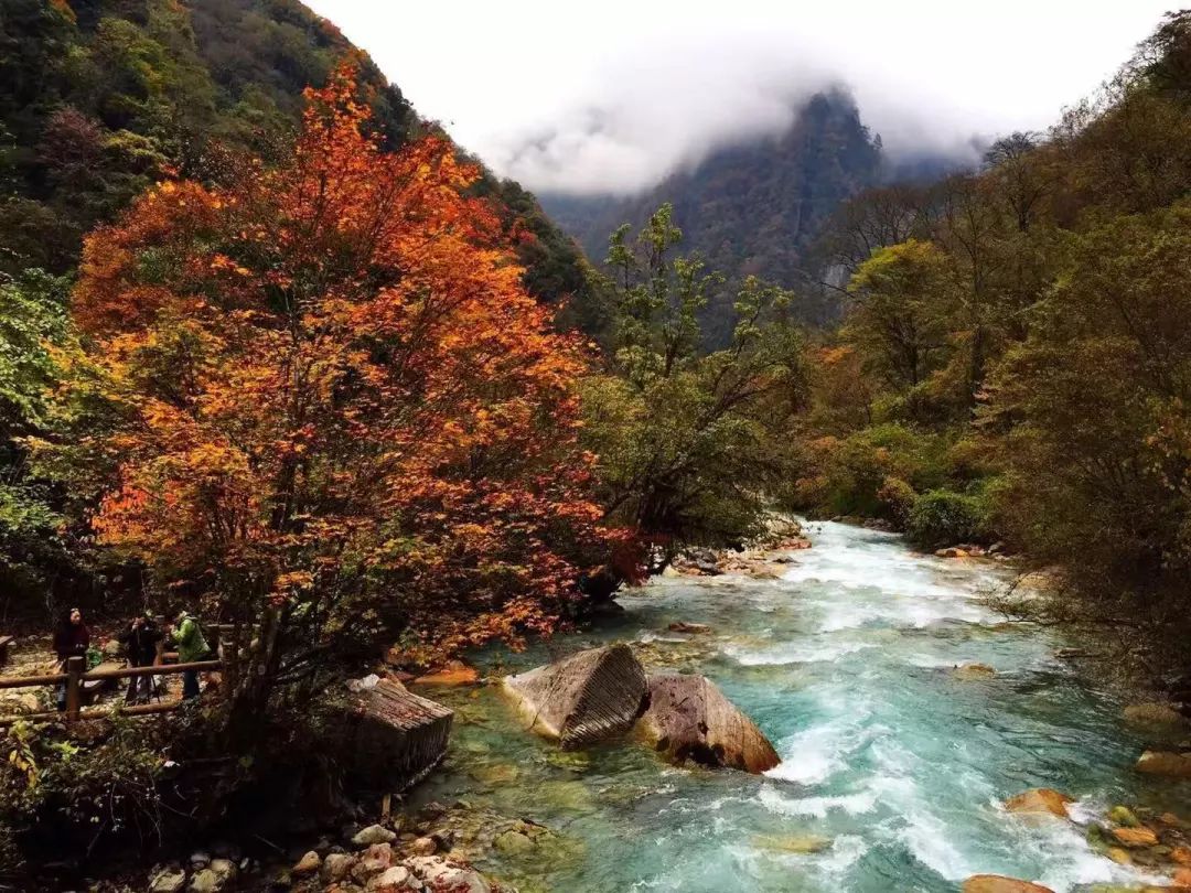 東拉山大峽谷的標誌景點之一前人為過河砍柴而遺留下來的這座小橋經過