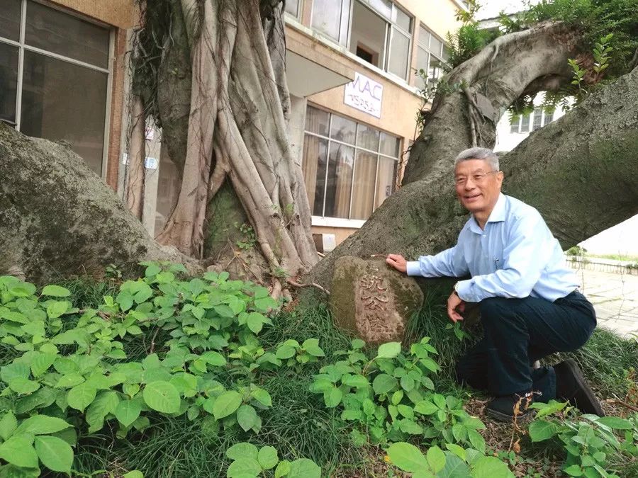 梁衡考察"沈公榕"沈葆桢栽的这棵树,就标志着我国的船政史.