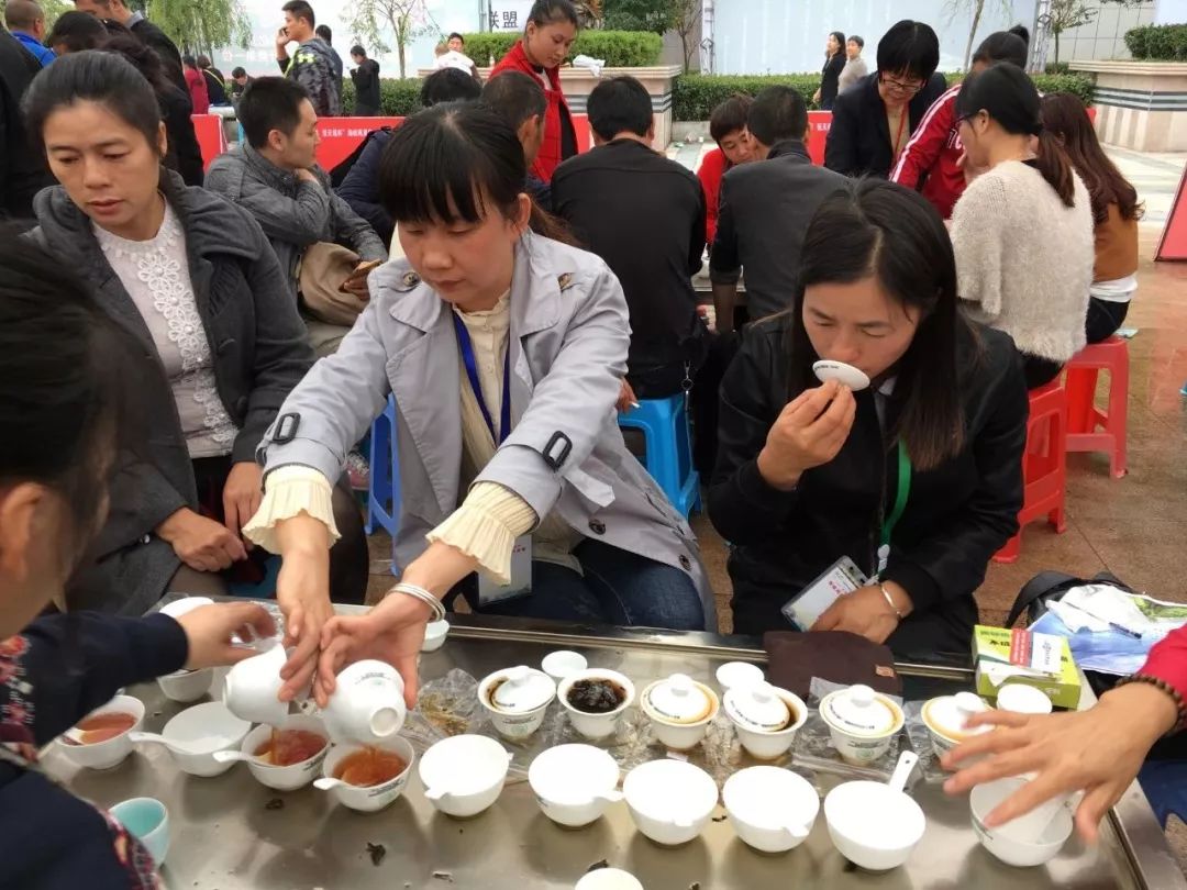 斗茶大赛以茶会友因茶结缘