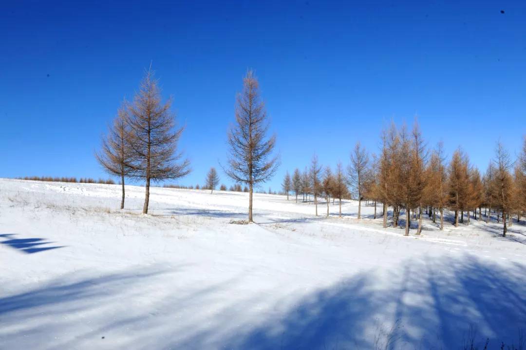 木兰围场坝上雪原摄影穿越之旅