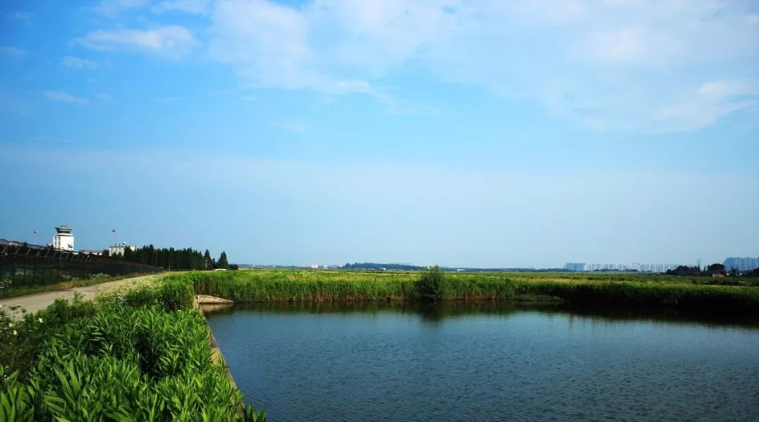 骆岗机场变身中央公园见证一座城的决心