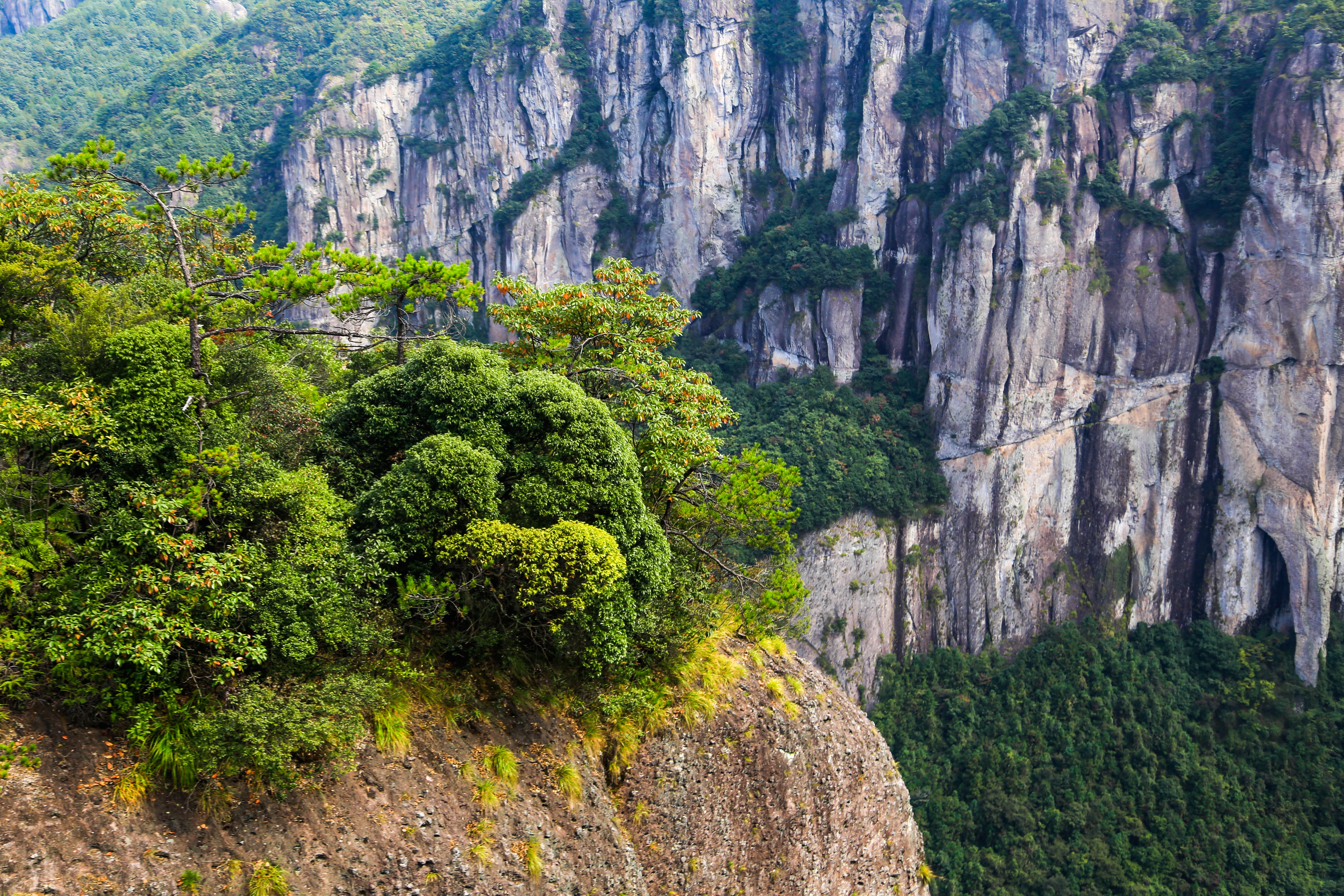 山海水城