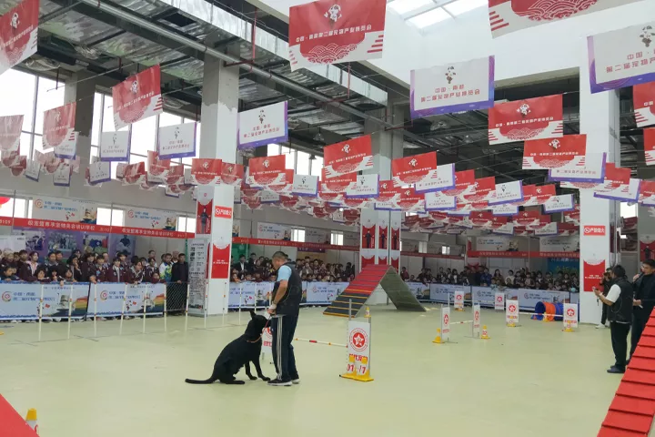 中国南和第二届宠物产业博览会圆满落幕