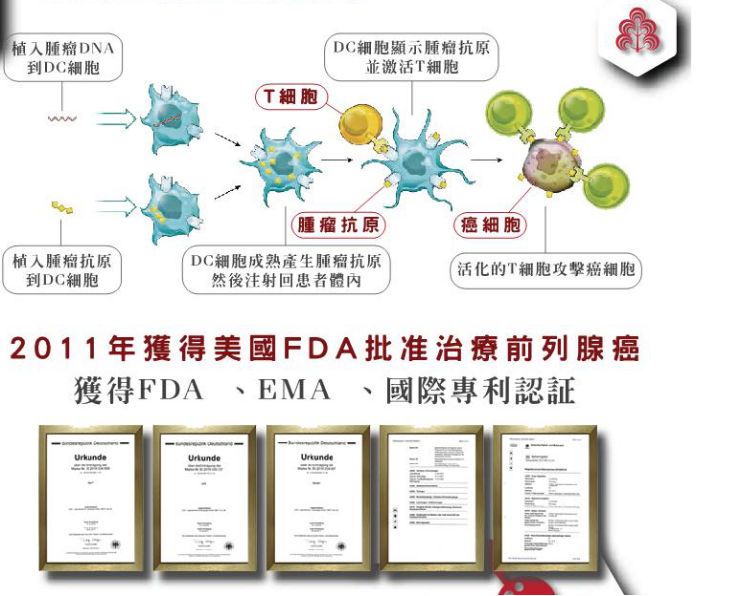 患了癌症就等于判死刑?读完这篇文章,必定让你重新认识肿瘤!_治疗