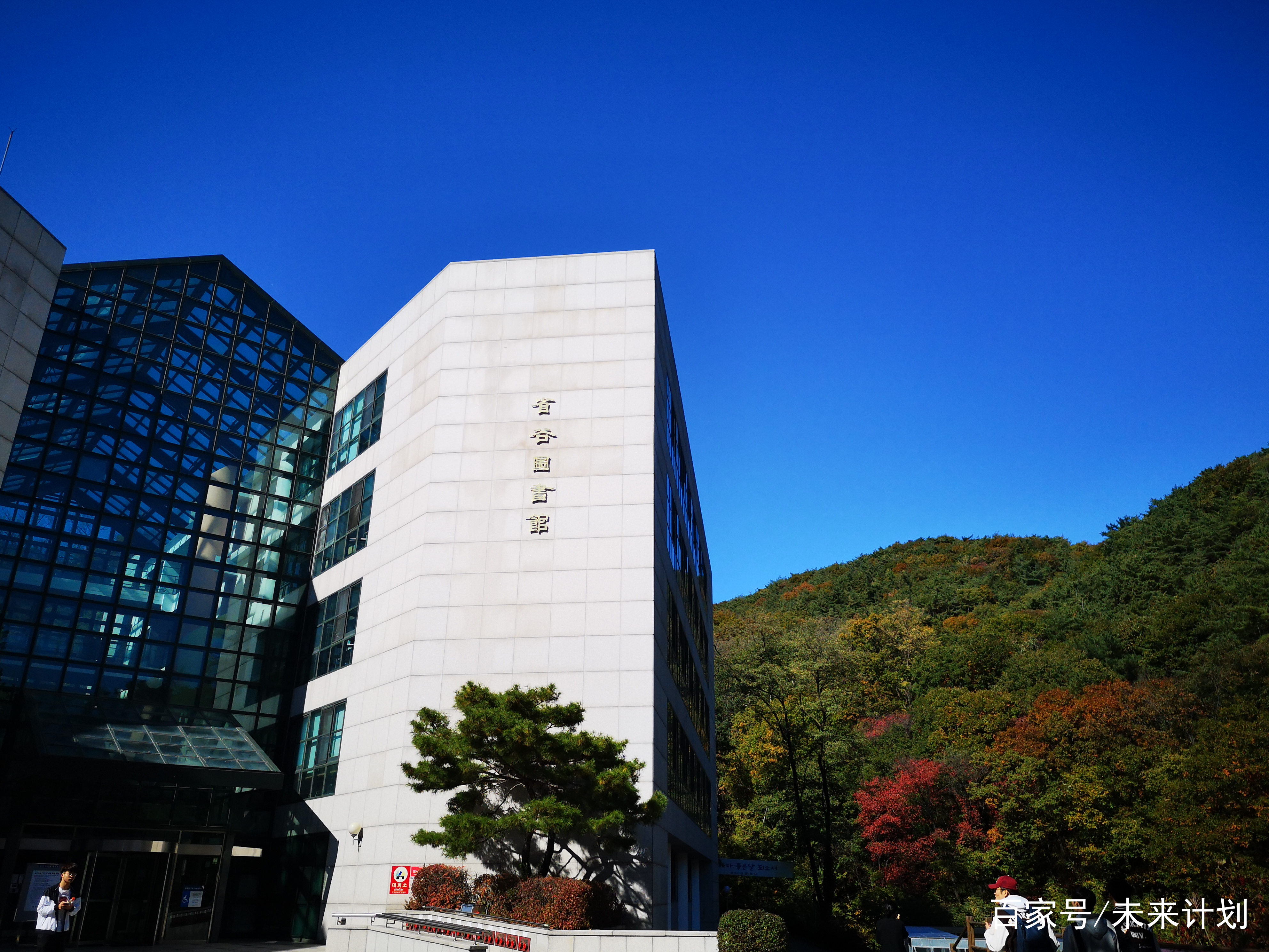 韩国最美大学图片