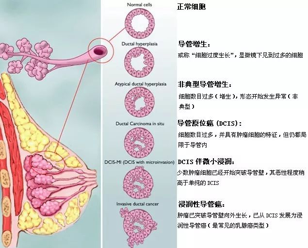 【答疑】經常感覺