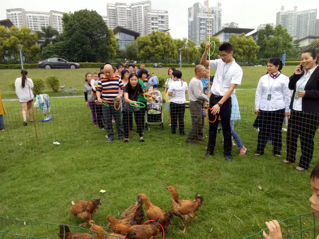 周末狂欢,快乐升级,套鸡来袭!