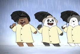 雨中熊龙(熊)猫小美熊鱼泰坦熊克号这部动画轻松简单