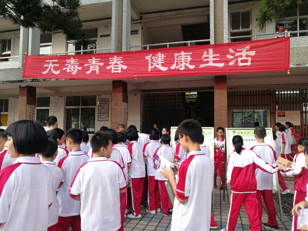 遂溪大成中学高考喜报图片