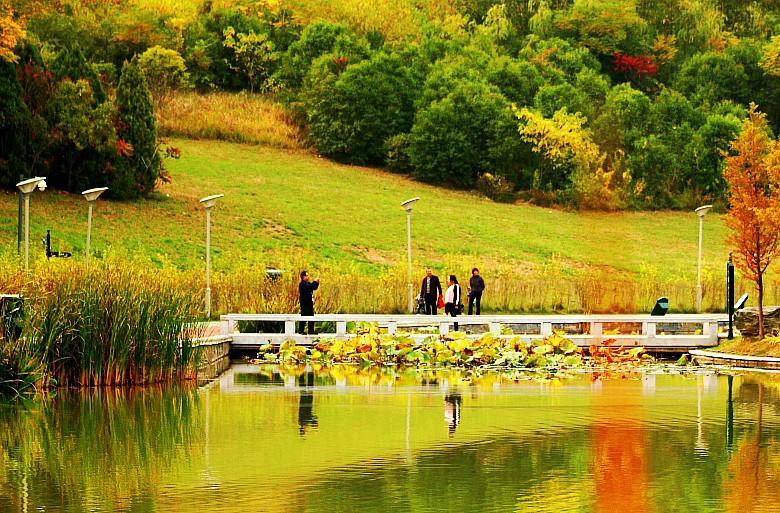 你知道西安雁鸣湖的秋景有多美再不去就错过今年了