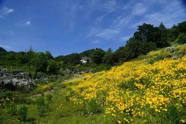 2018四川最美森林康養基地評選結果公佈北川藥王谷獲獎