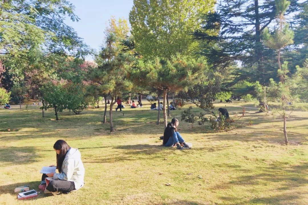 全省高校秋景pk—河南师范大学