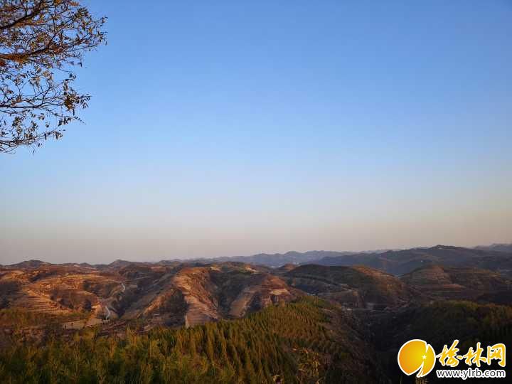 见证变迁|黄土洼洼变迁后的绿茆茆山