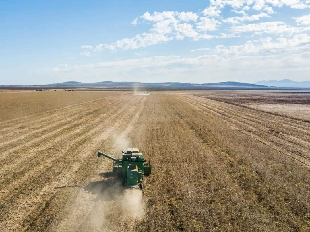 中国人在俄罗斯种下3000公顷大豆,当地村民:没有中国人村子就消失了