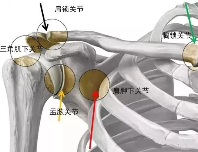 为什么那么多开肩的动作