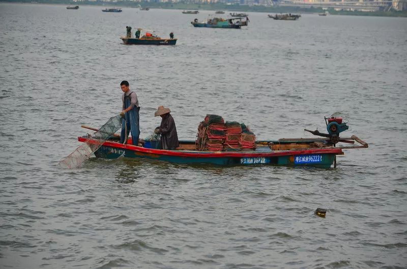 漳州渔民海上捕鱼惊现"海漂尸,没想到死者竟是.