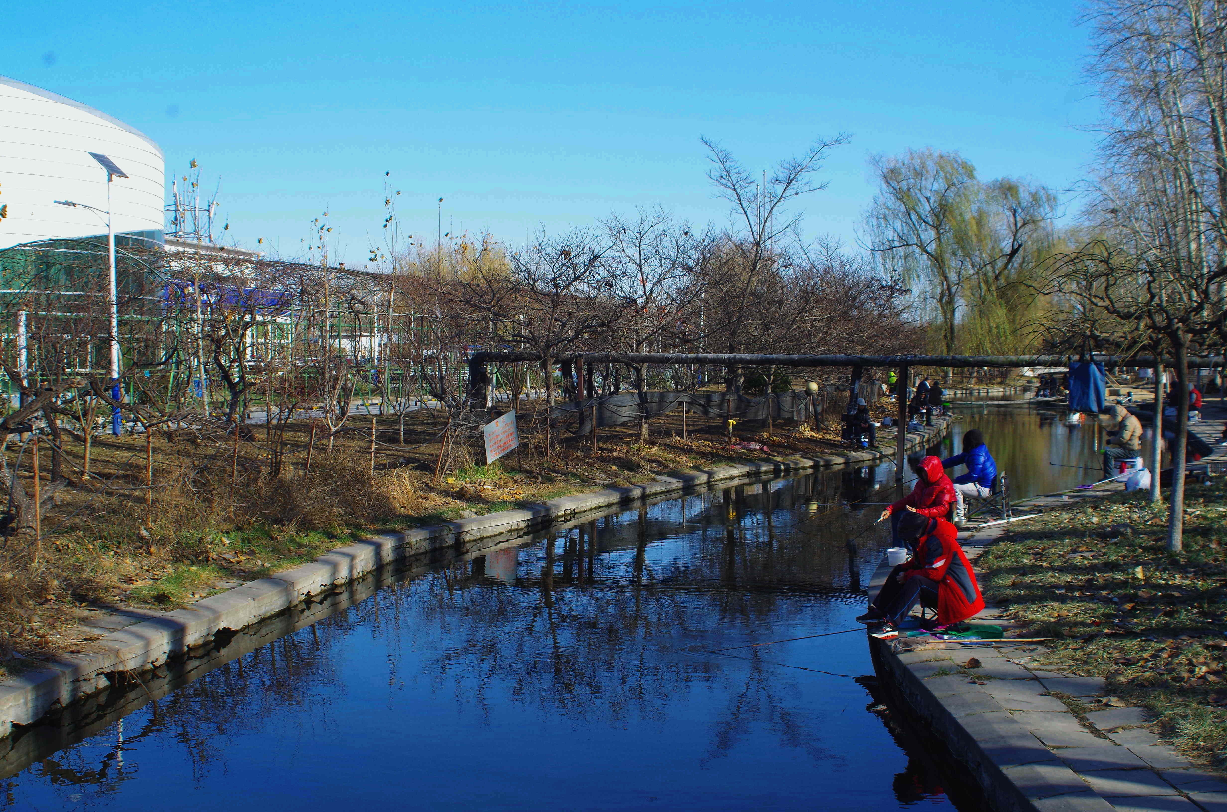 朝來森林公園與朝來農藝園(朝陽區)閒走北京