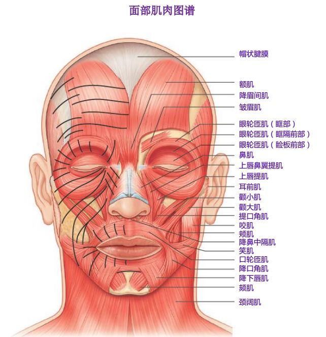 我們還依然用喝奶的方式吞嚥,就醬一直延續到成年,而錯過了學習嬰兒