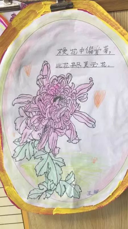 菊花介绍加上图片作品图片