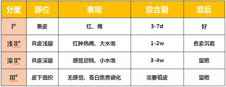 我国目前对烫伤的识别普遍采用三度四分法,即按烫伤深度的由深到浅,分