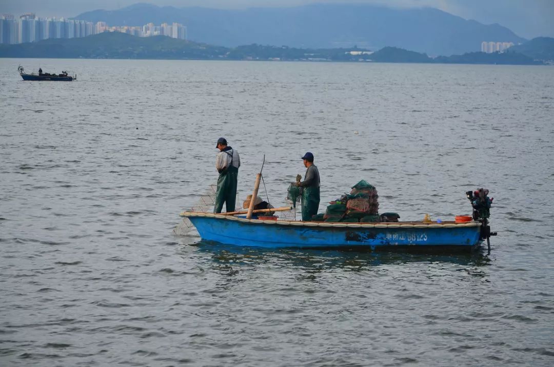 漳州渔民海上捕鱼惊现"海漂尸,没想到死者竟是.