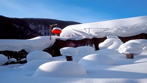 11月帶你去看雪哈爾濱龍江最美雪鄉高山雪原鳳凰山激情動感亞布力雙飛