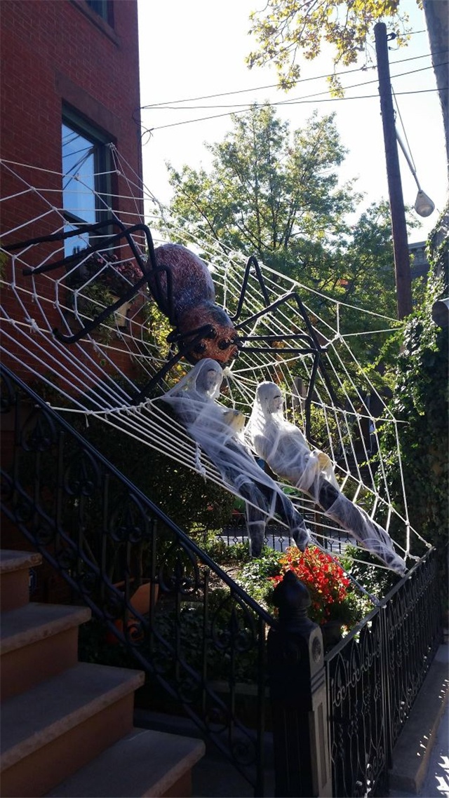 我邻居很赞,每年万圣节都会对房子进行装饰,今年他们弄的大蜘蛛,真是