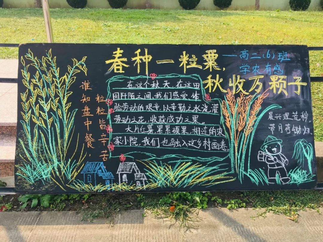【在希望的田野上】2018上海市延安中学高二年级学农体验第三天