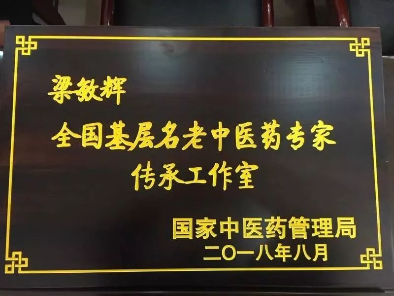 巍山县梁敏辉全国基层名老中医药专家传承工作室授牌