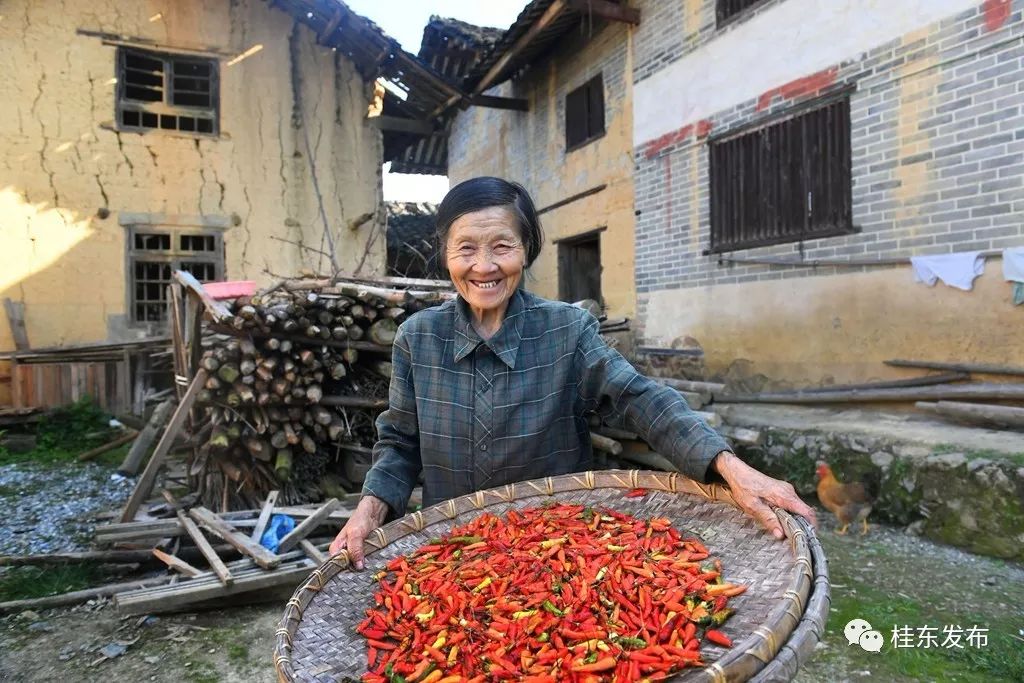 【美丽桂东】桂东山水爽天下摄影展:育地道风物