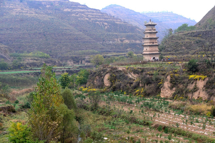 "凝寿寺塔"建于唐代,位于庆阳市宁县的政平古村边上,这里地处陕甘交界