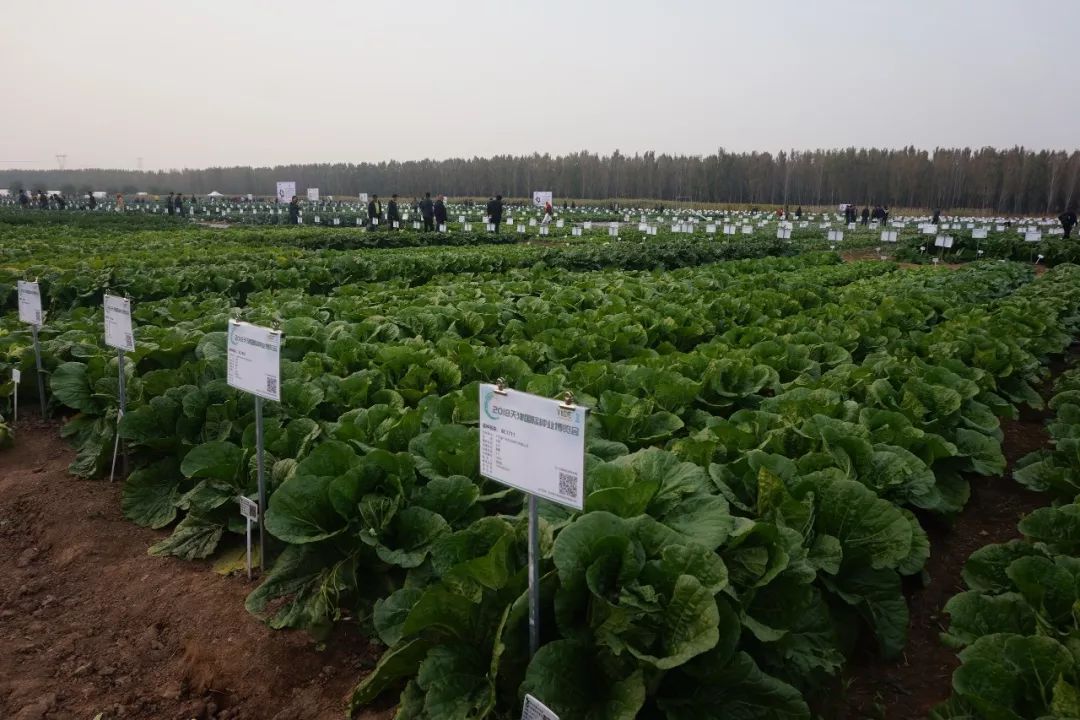 爱种网携地展网上示范田和微信店铺小程序两大利器引爆"2018天津国际