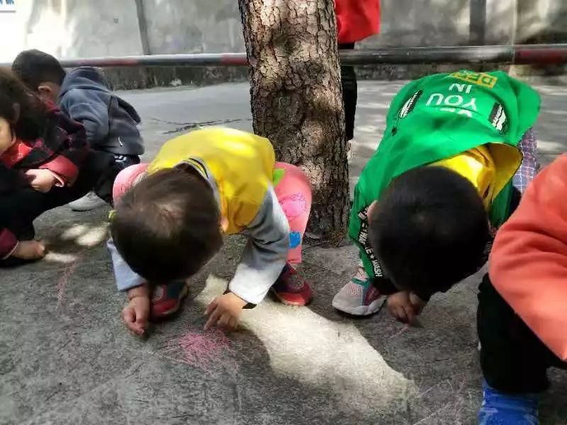 秋光正好,踏秋而行——东艺幼儿园