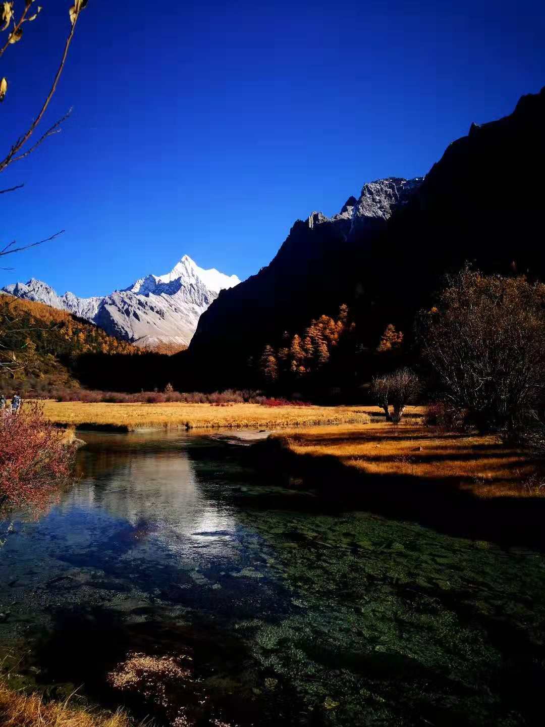 的十幾座雪山和上帝的花園(杜鵑花),目前只在木裡縣瑪娜茶金牧場發現